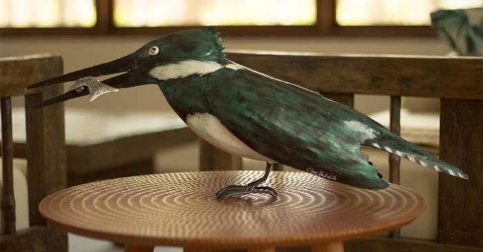 Savanna Orinoquia Lodge Orocué エクステリア 写真