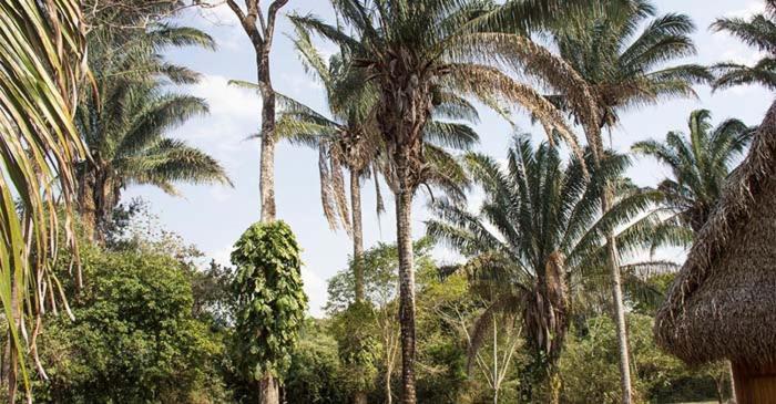 Savanna Orinoquia Lodge Orocué エクステリア 写真